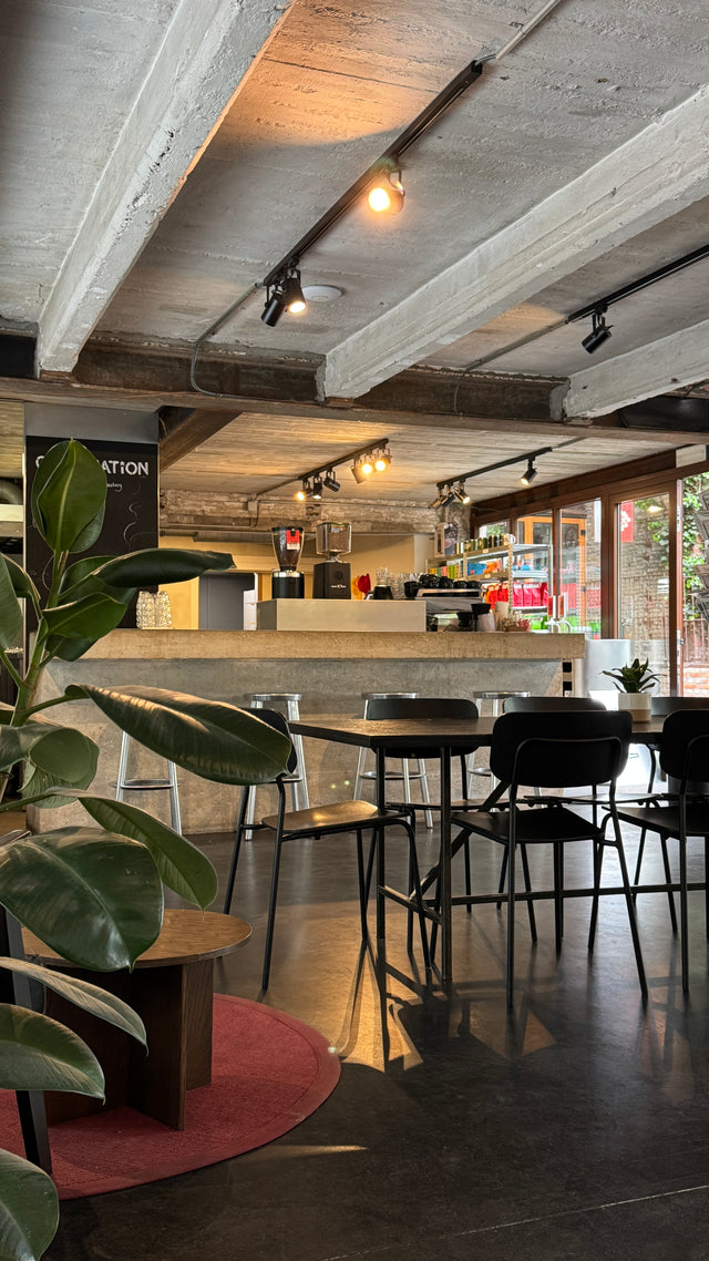Caffenation Roastery and Bar Pakt