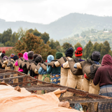 Rwanda Ruli