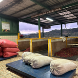 Honduras COMSA