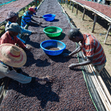 Ethiopië Banko Gotiti
