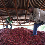Ethiopië Banko Gotiti