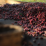 Honduras COMSA