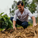 Peru Kovachii