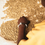 Rwanda Ruli