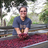 Honduras COMSA