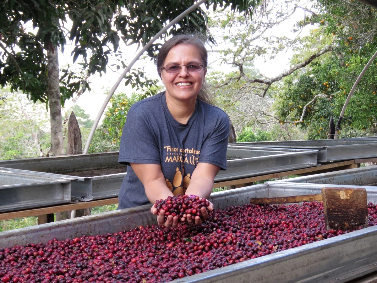 Honduras COMSA